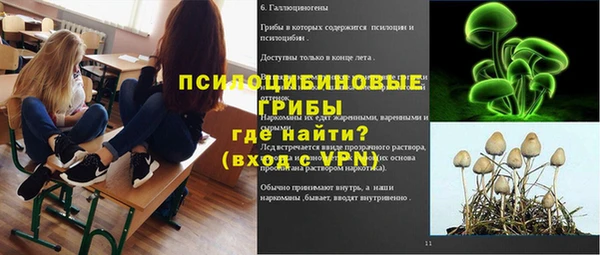 мдпв Надым
