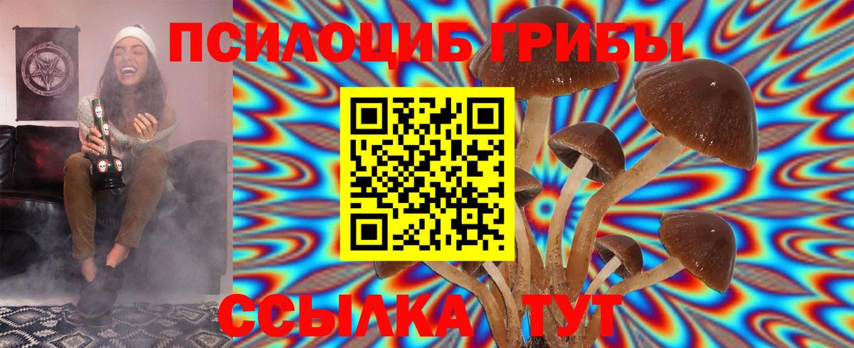 Псилоцибиновые грибы Psilocybine cubensis  Котлас 