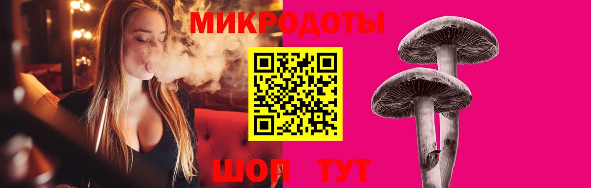 Котлас  Галлюциногенные грибы мухоморы  Вход с VPN 