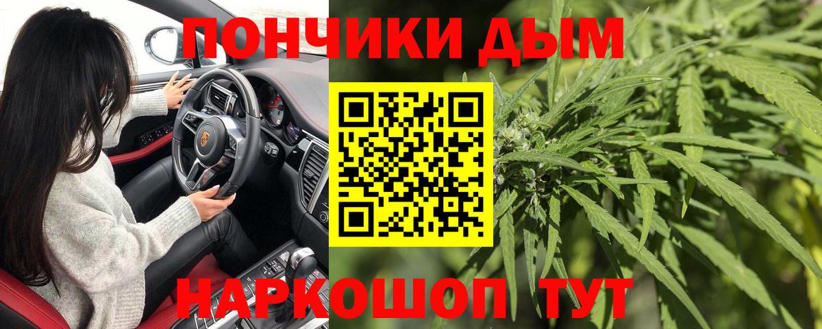 Бошки Шишки индика Котлас