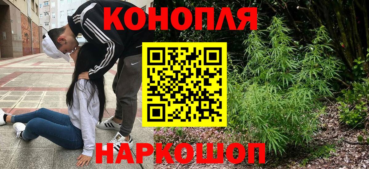 Бошки Шишки тримм  Марихуана тримм  Котлас  Вход с VPN 